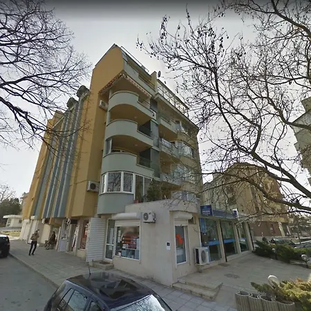 Seagull * Βάρνα
